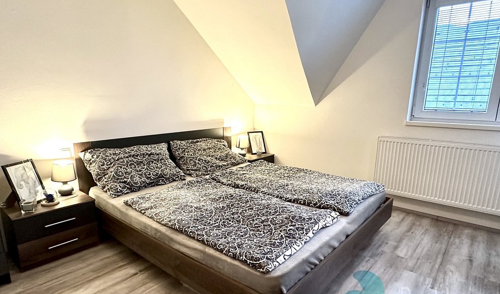 Pronájem domu 90 m² s pozemkem 473 m², Homole – náhled fotky 4