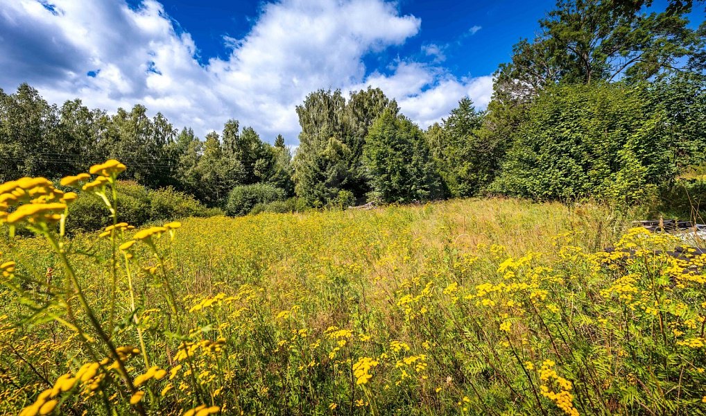 Prodej stavebního pozemku 1 122 m², Přední Výtoň – náhled fotky 16