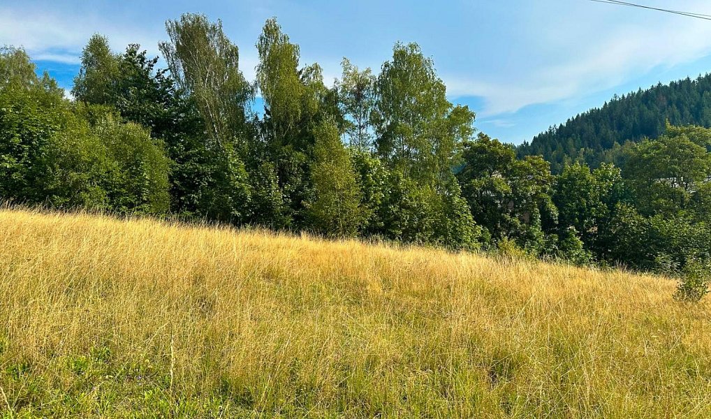 Prodej stavebního pozemku 1 270 m², Desná – náhled fotky 4