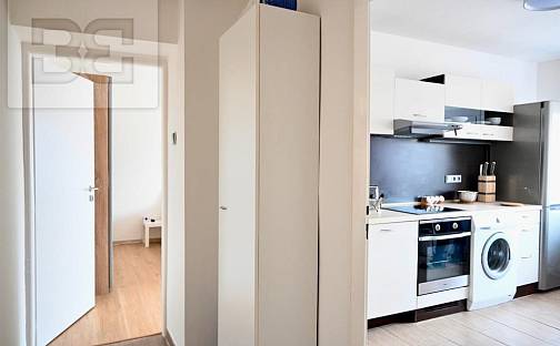 Pronájem bytu 1+1 40 m², Pellicova, Brno - Staré Brno