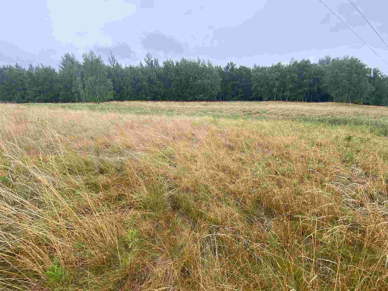 Prodej pole 49 321 m² – fotografie 4