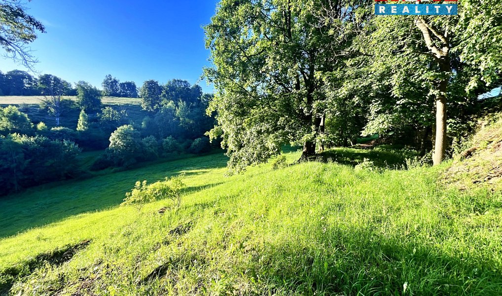 Prodej louky 5 449 m², Teplice nad Metují – náhled fotky 14