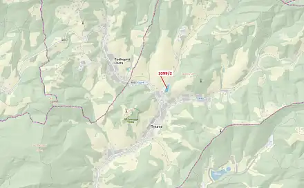 Dražba lesa 5 255 m², Trnava