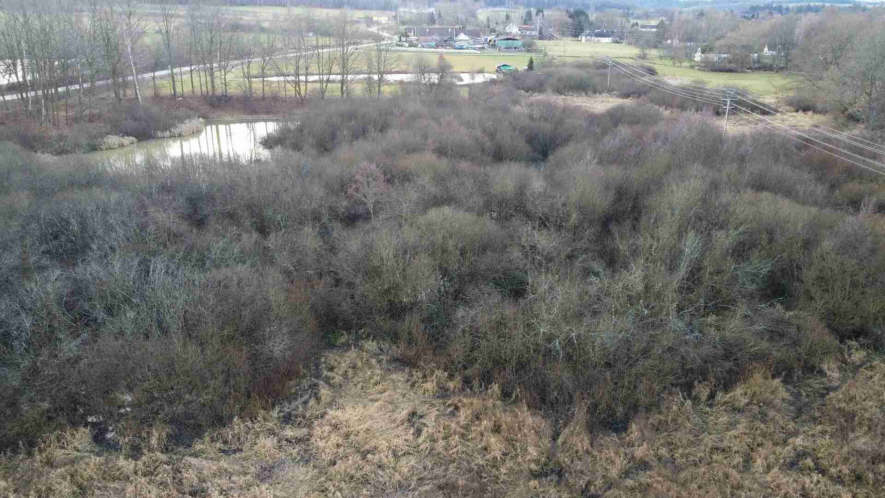 Prodej pozemku 35 772 m² – fotografie 3