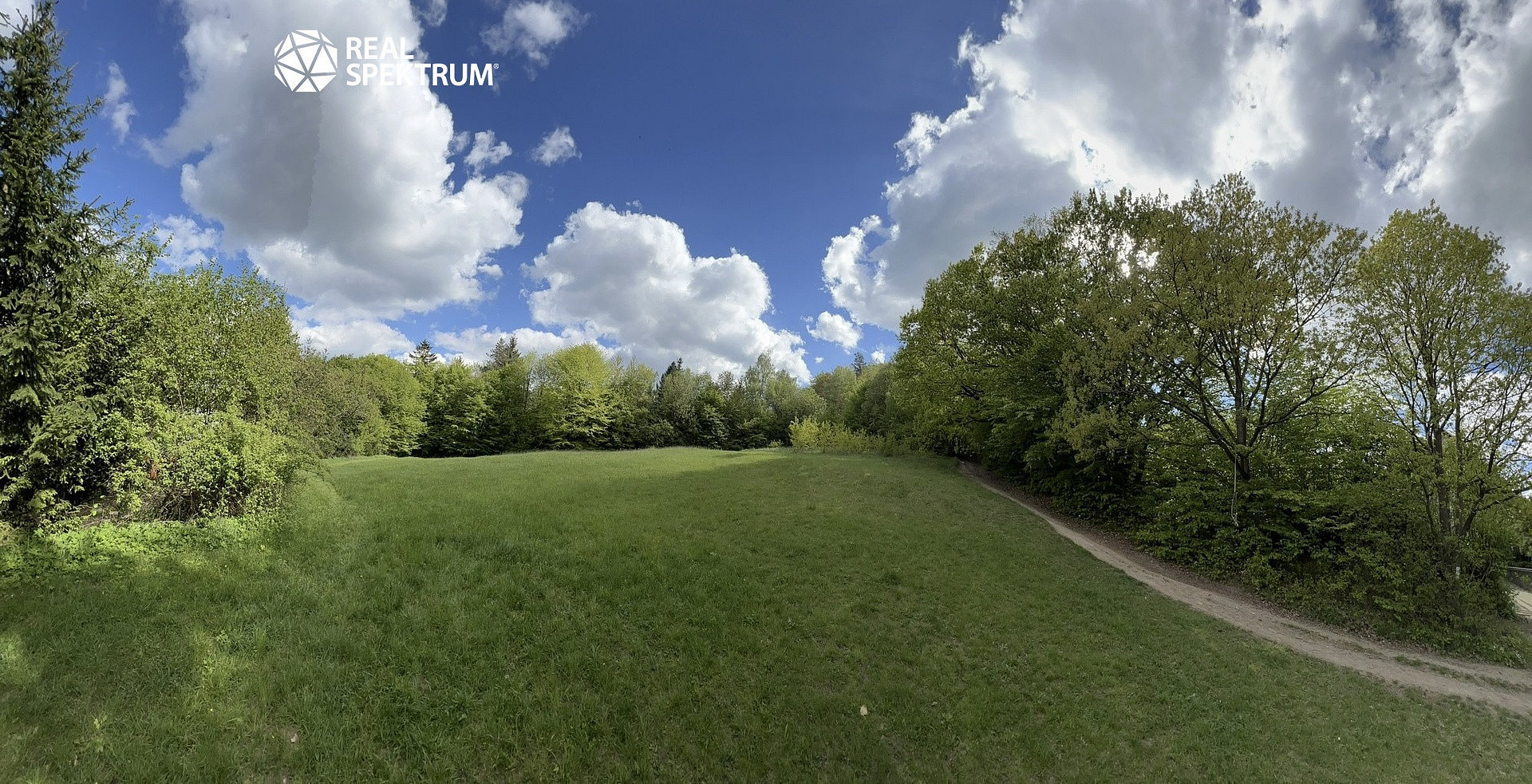 Prodej louky 4 838 m² – fotografie 2