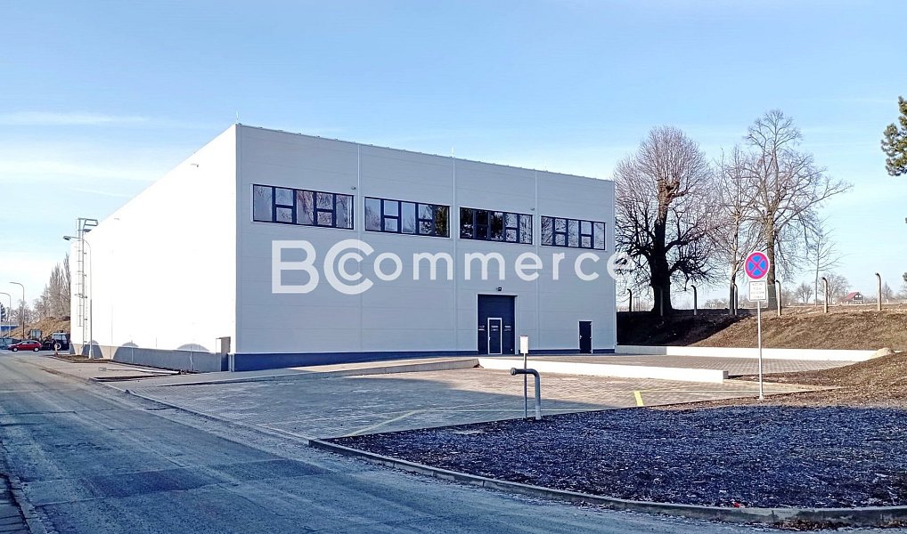 Pronájem výrobních prostor 1 481 m², Holubice – náhled fotky 2