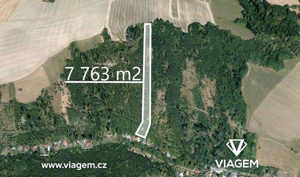 Prodej lesa 7 763 m², Hradec nad Moravicí – náhled fotky 2