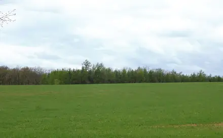 Dražba pozemku 4 179 m², Lštění