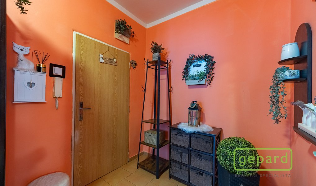 Prodej bytu 2+1 54 m², Ostrov – náhled fotky 13