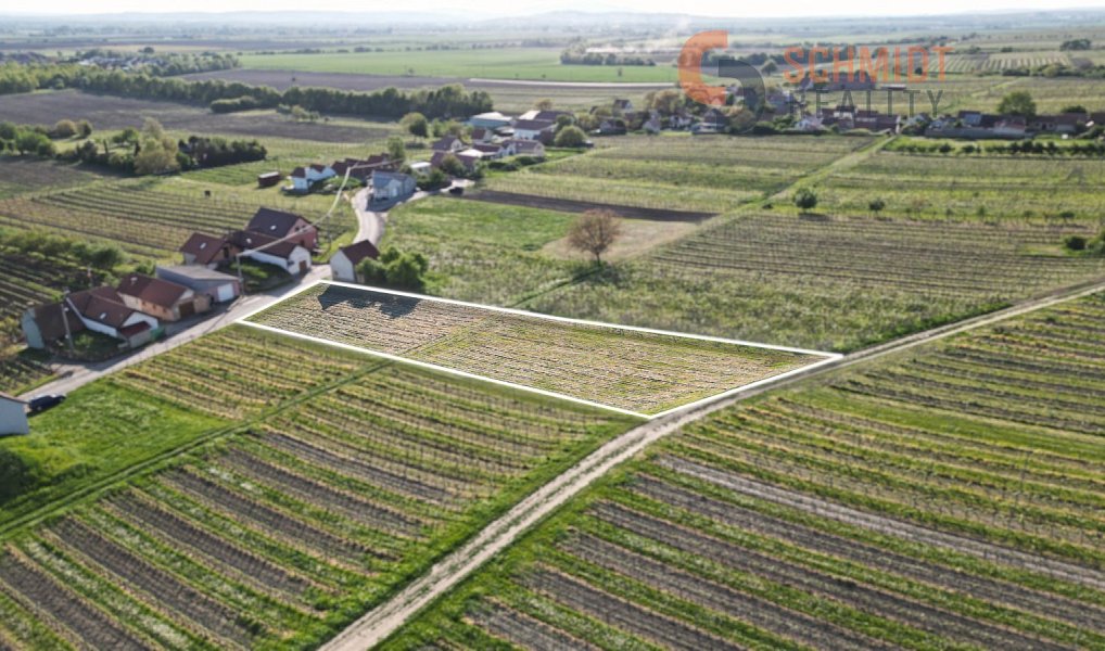 Prodej komerčního pozemku 1 724 m², Velké Bílovice – náhled fotky 5