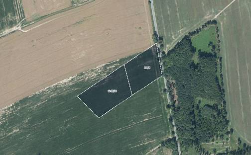 Prodej pole 4 703 m², Přibyslav, okres Havlíčkův Brod