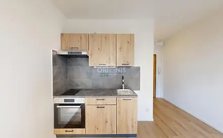 Pronájem bytu 1+1 33 m², Březenecká, Chomutov