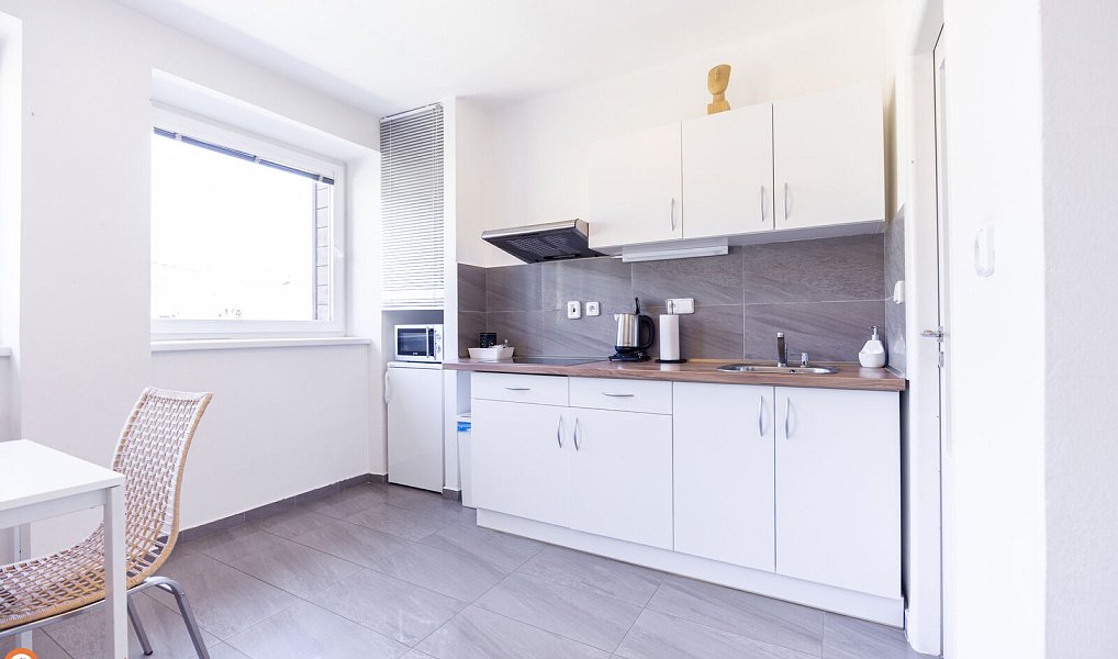 Prodej komerčního objektu (jiného typu) 450 m², Staré Město – náhled fotky 4