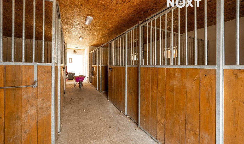 Prodej ubytovacího objektu 550 m², Všemyslice – náhled fotky 14