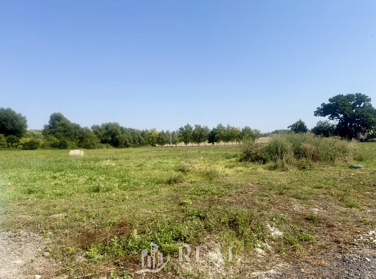 Prodej stavebního pozemku 995 m² — photo 4