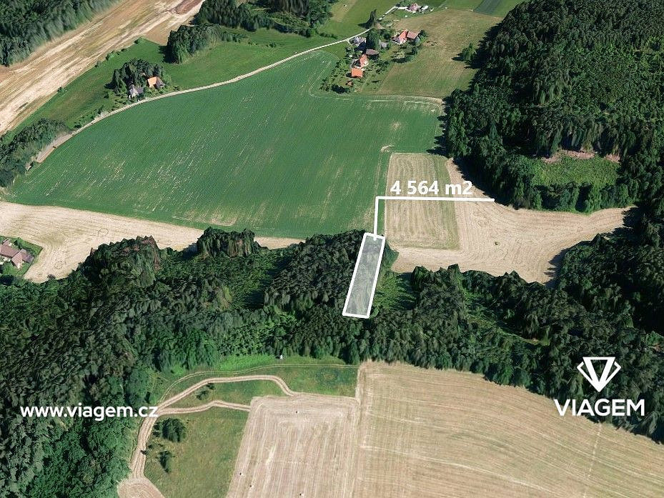 Prodej lesa 1 141 m²