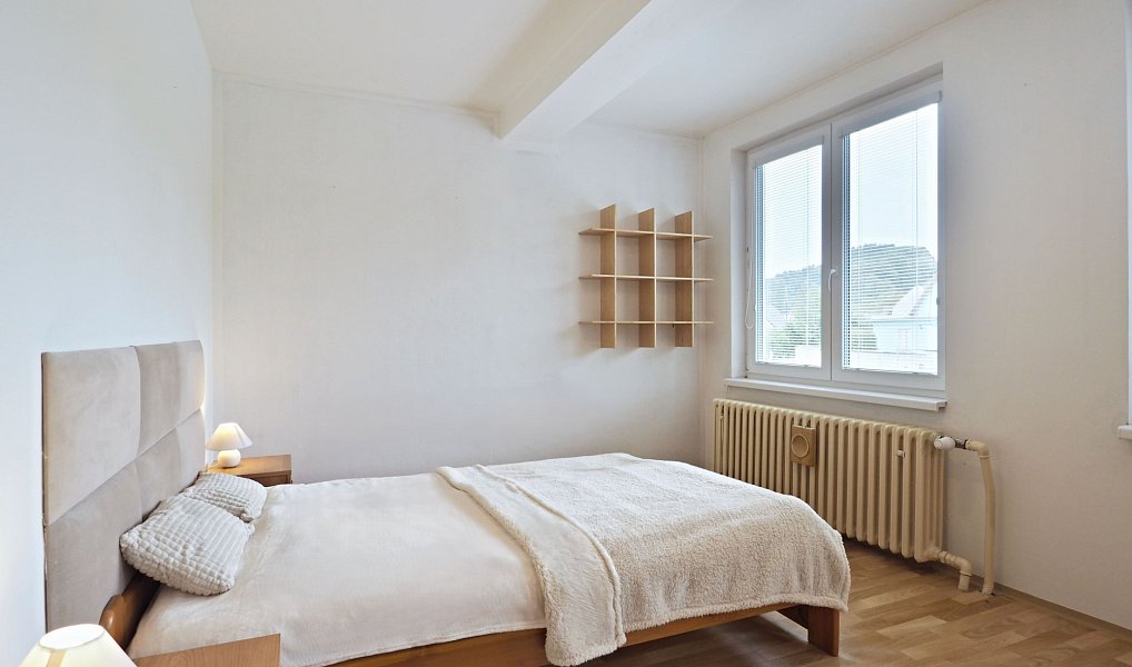 Prodej domu 164 m² s pozemkem 865 m², Nový Malín – náhled fotky 14