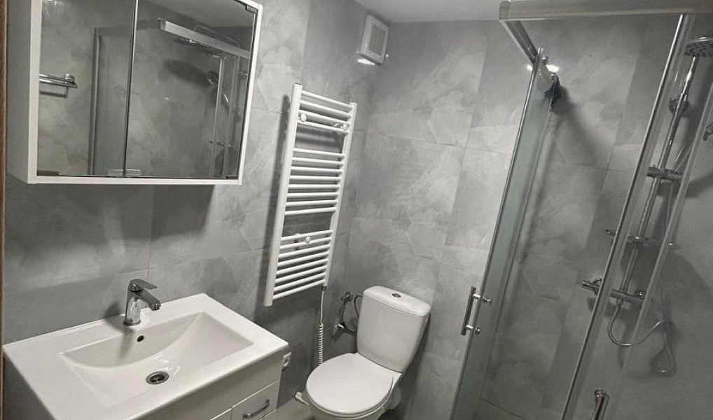 Pronájem bytu 1+kk 30 m², Teplice – náhled fotky 8