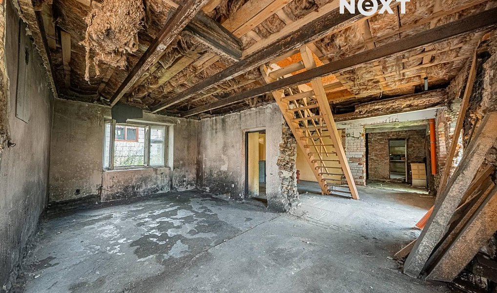 Prodej domu 330 m² s pozemkem 3 898 m², Černíny – náhled fotky 14