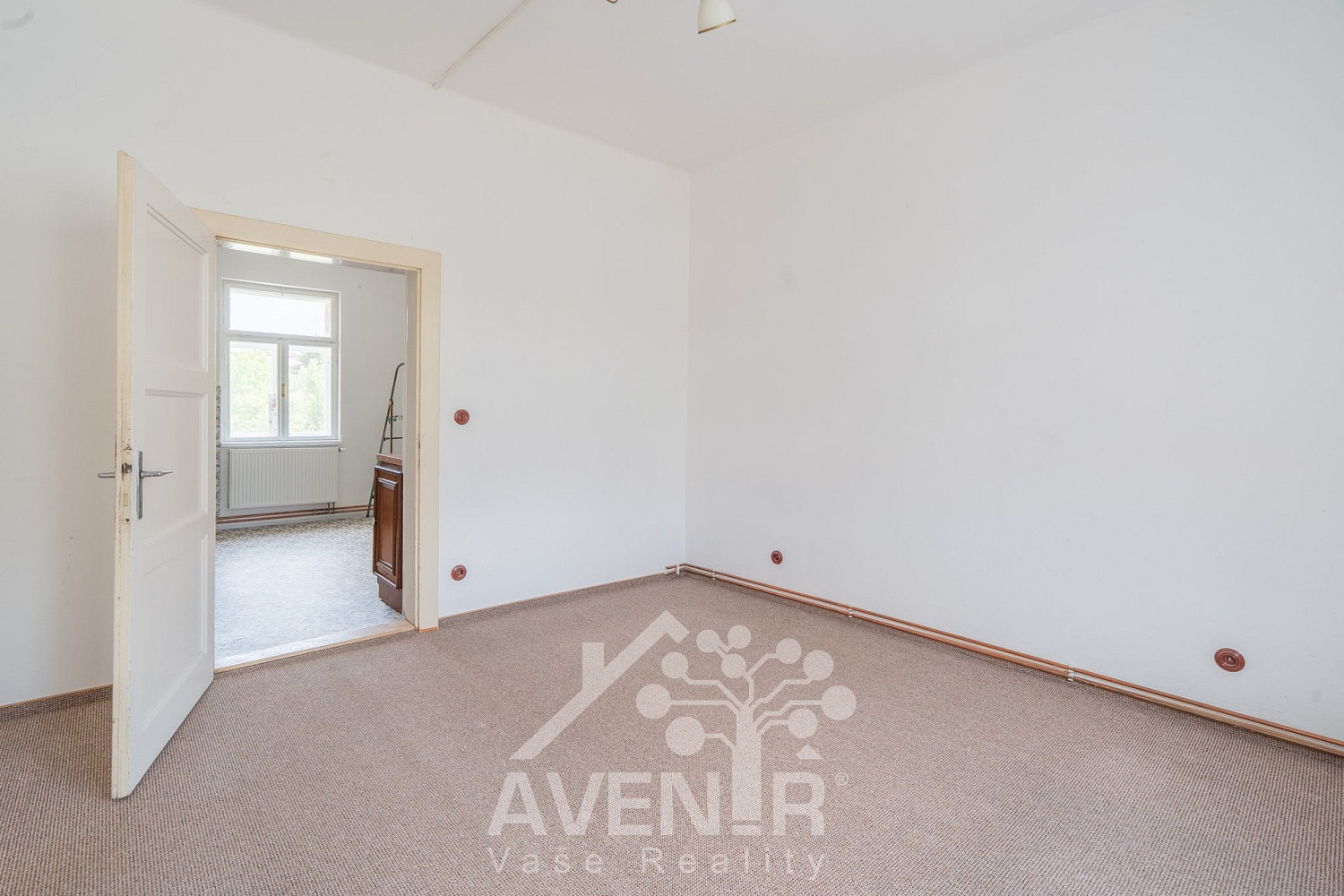 Prodej obchodních prostor 244 m² — photo 2