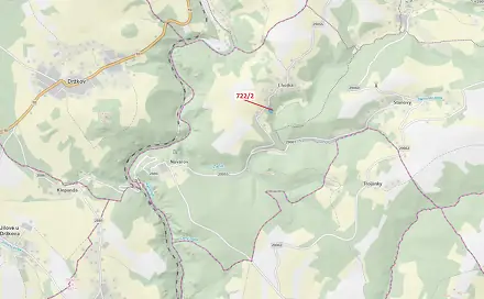 Dražba lesa 2 620 m², Plavy