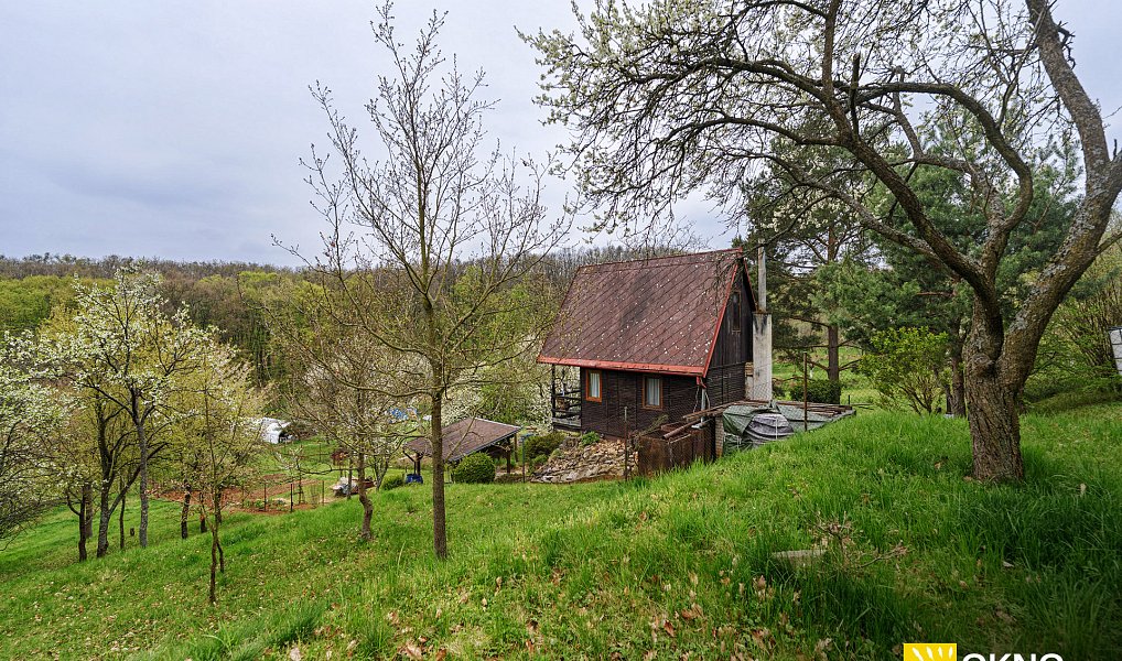Prodej zahrady 1 459 m², Střelice – náhled fotky 4