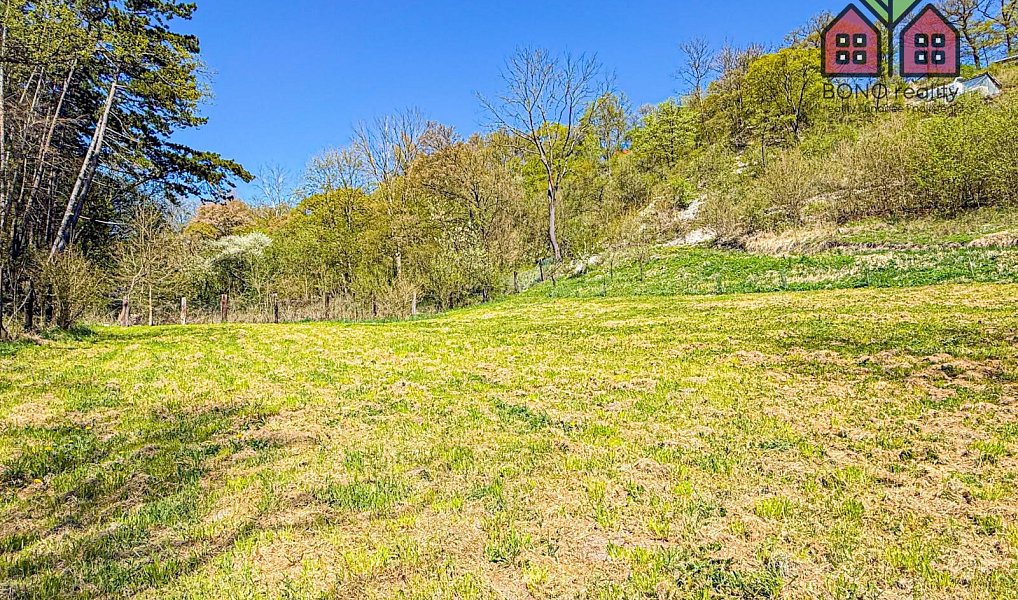 Prodej zahrady 4 999 m², Žitenice – náhled fotky 5