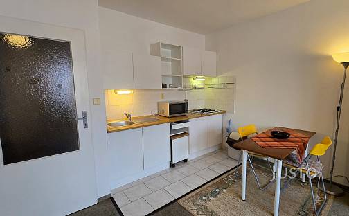 Pronájem bytu 1+kk 28 m², Harantova, Písek - Budějovické Předměstí