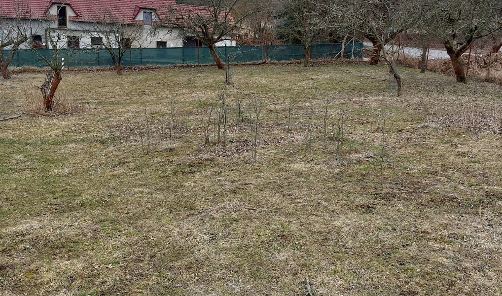 Prodej stavebního pozemku 5 184 m², Pečice – náhled fotky 15