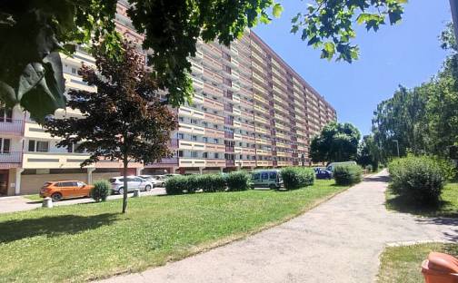 Pronájem bytu 1+kk 30 m², Jungmannova, Hradec Králové - Pražské Předměstí