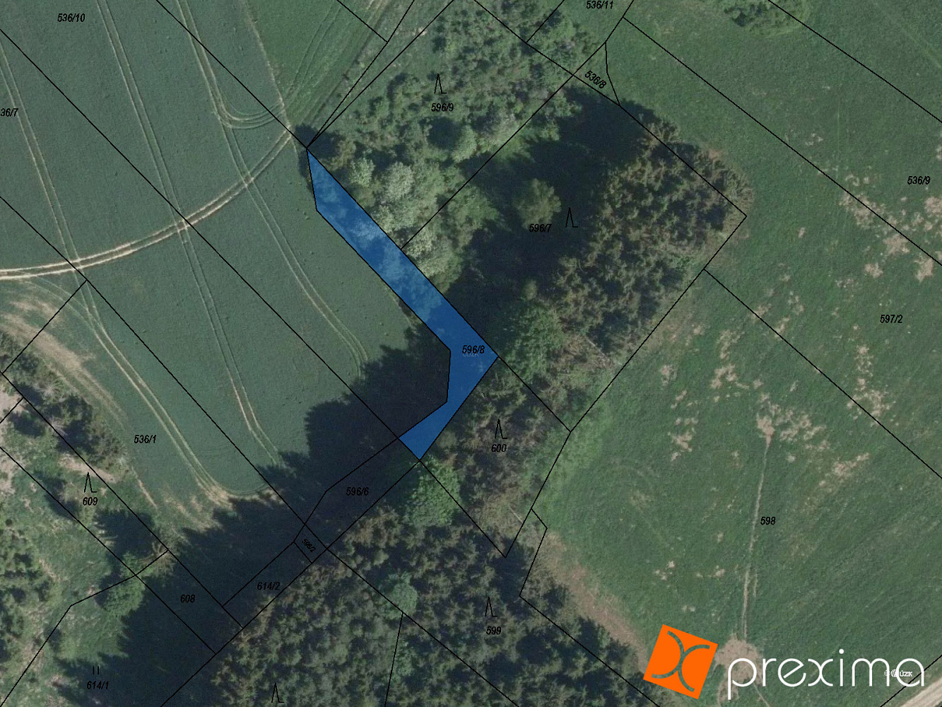 Prodej lesa 144 m²