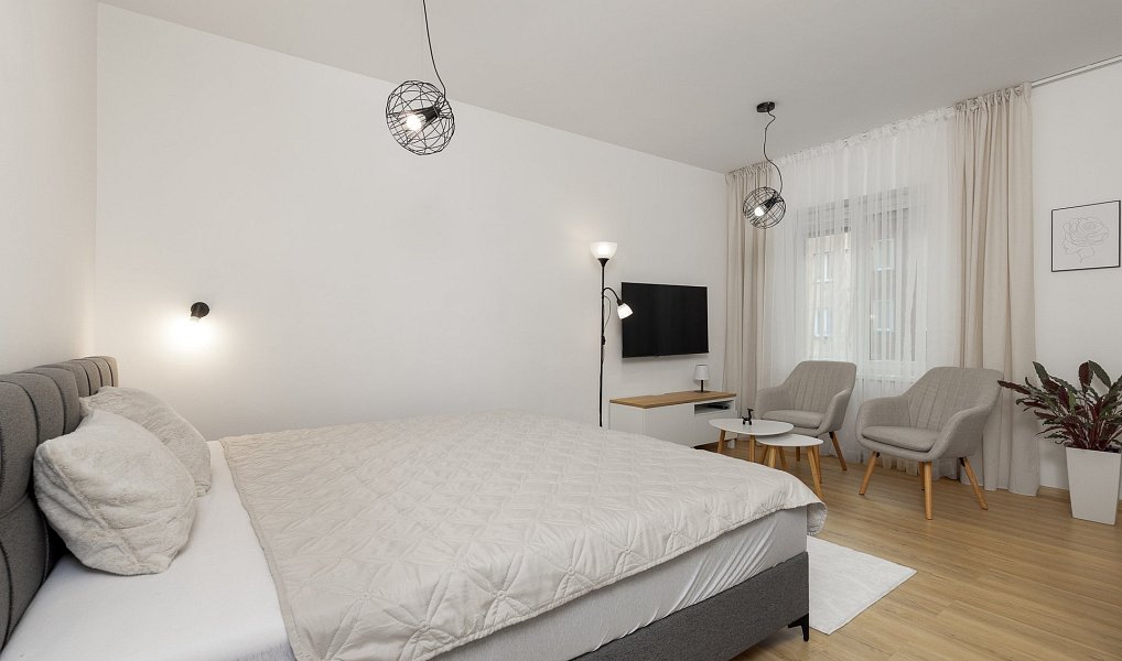 Pronájem bytu 1+kk 35 m², Ostrava – náhled fotky 3