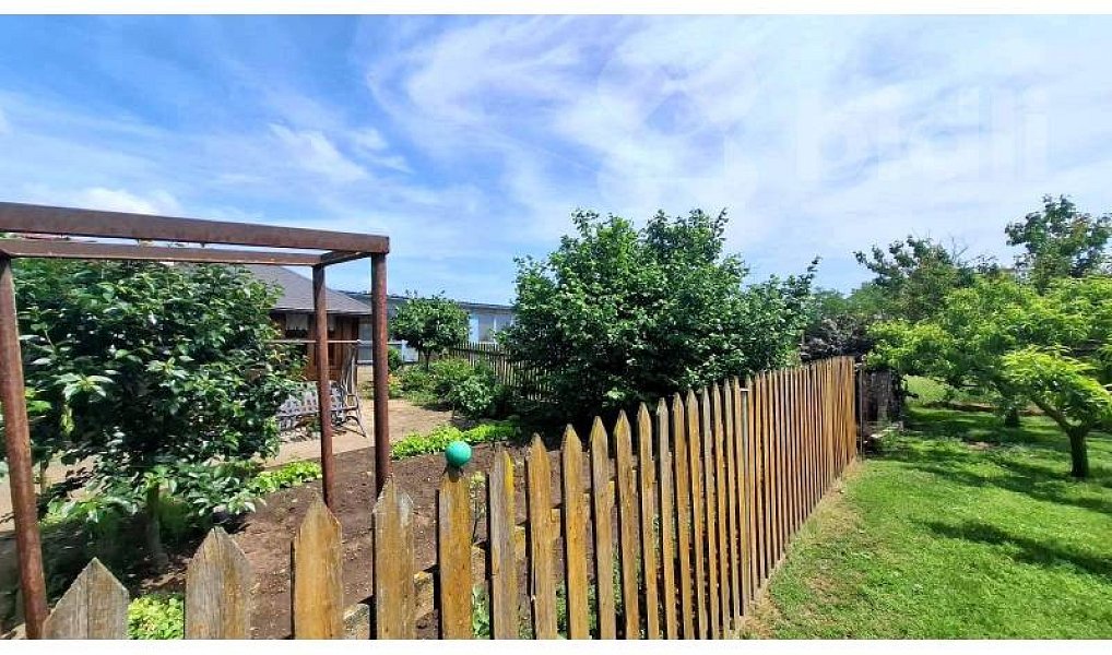Prodej stavebního pozemku 1 313 m², Čejkovice – náhled fotky 7