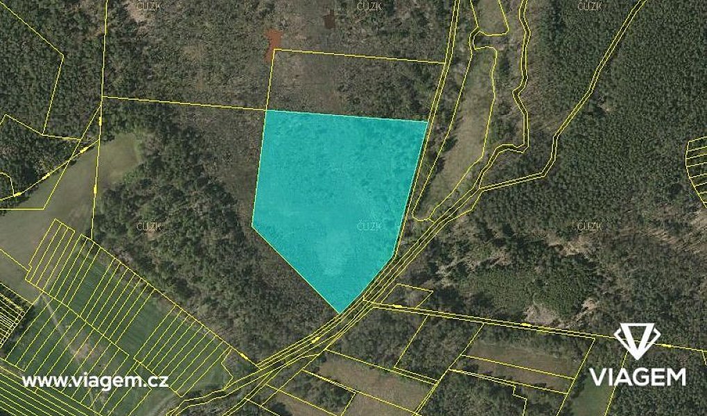 Prodej lesa 20 552 m², Veselí nad Lužnicí – náhled fotky 3