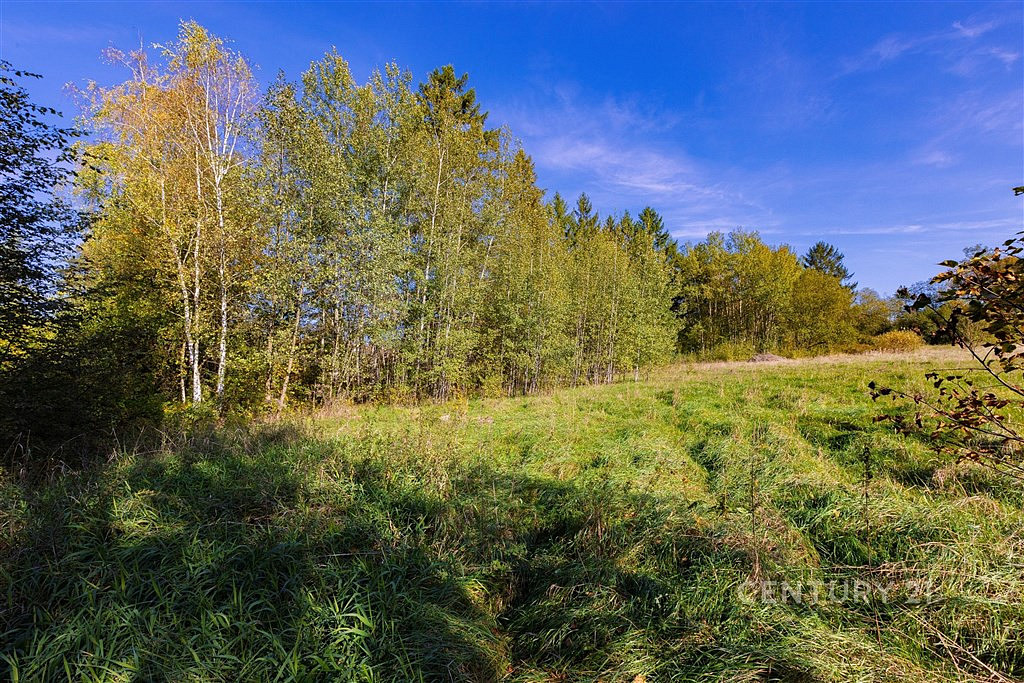 Prodej stavebního pozemku 2 511 m² – další