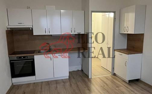 Pronájem bytu 1+1 36 m², Severní, Děčín - Děčín VI-Letná