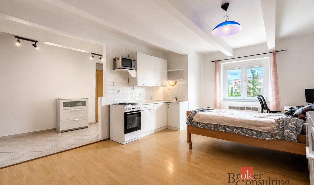Prodej bytu 1+kk 32 m², Plzeň – náhled fotky 5