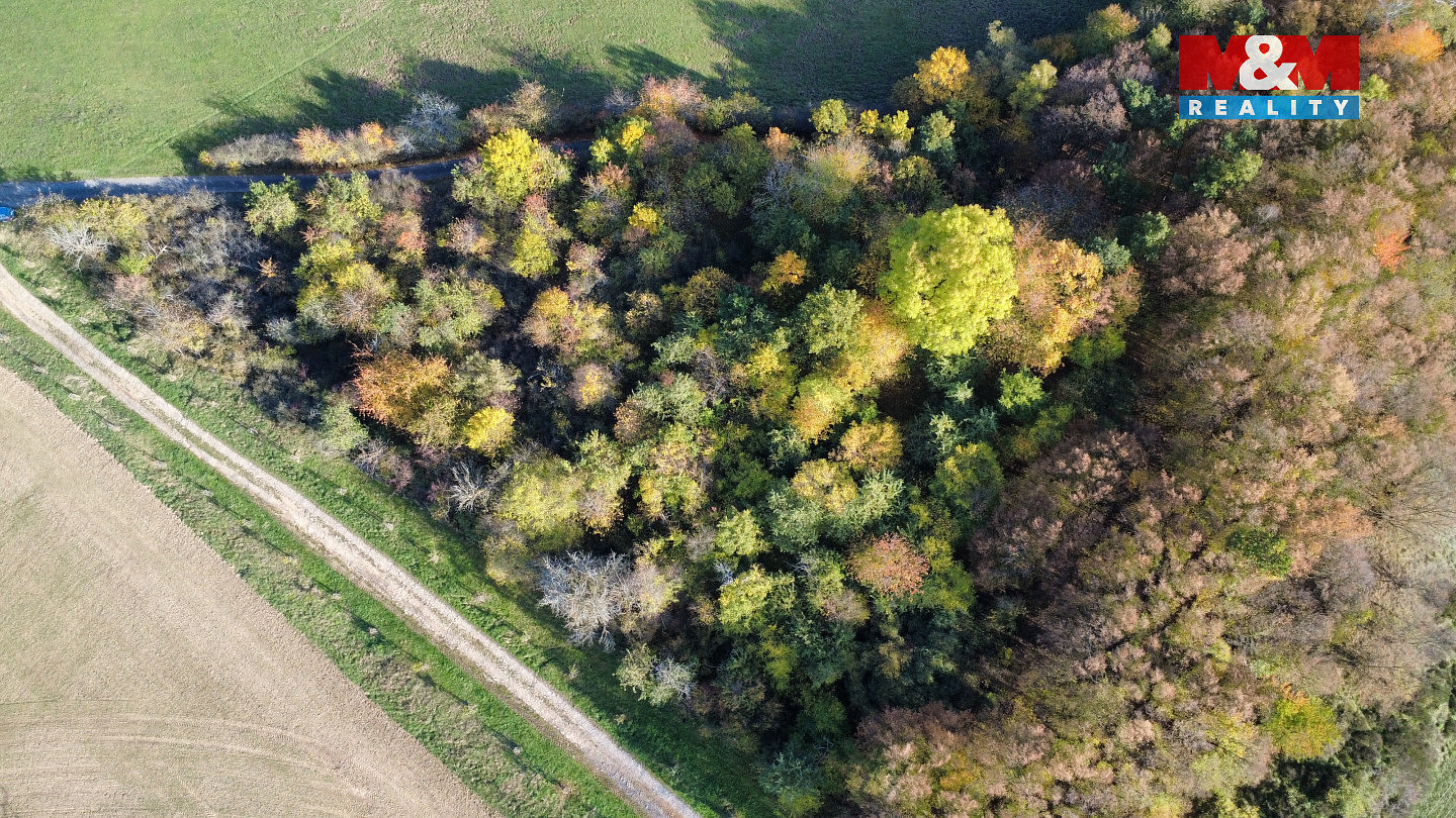 Prodej pole 4 731 m² – fotografie 3
