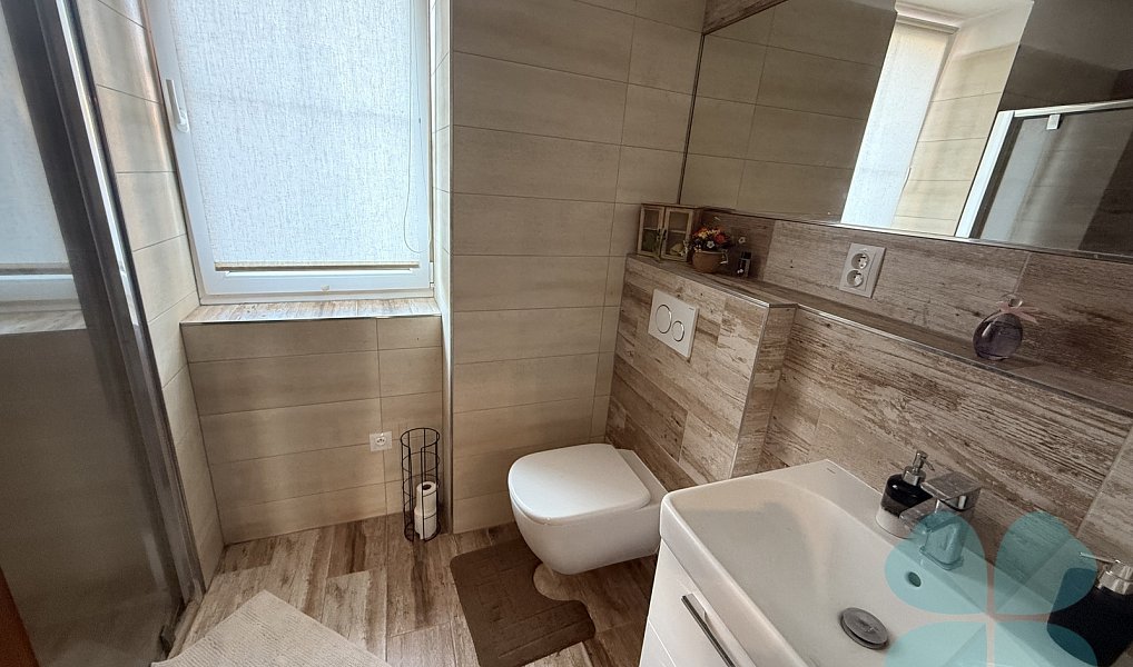 Prodej domu 220 m² s pozemkem 449 m², Radnice – náhled fotky 27