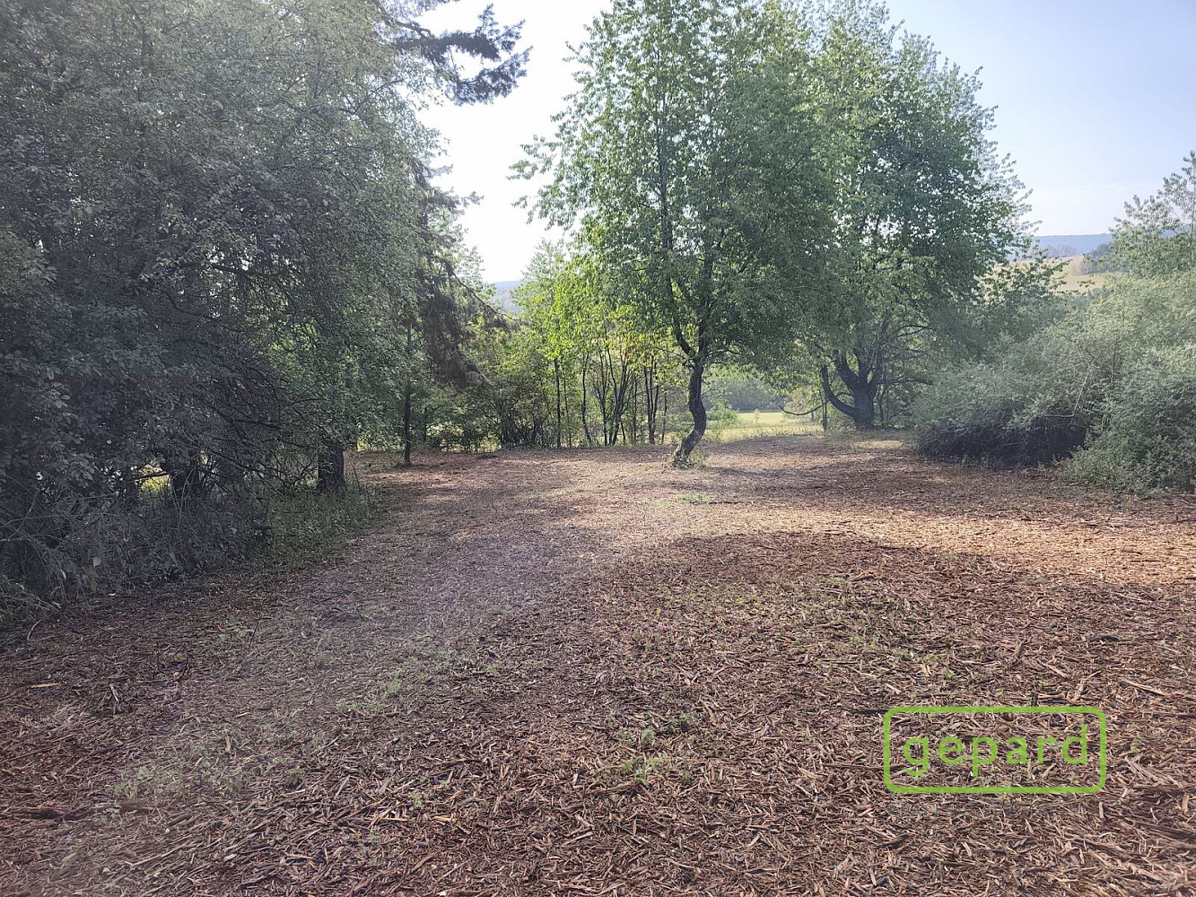 Prodej stavebního pozemku 14 307 m² – fotografie 5