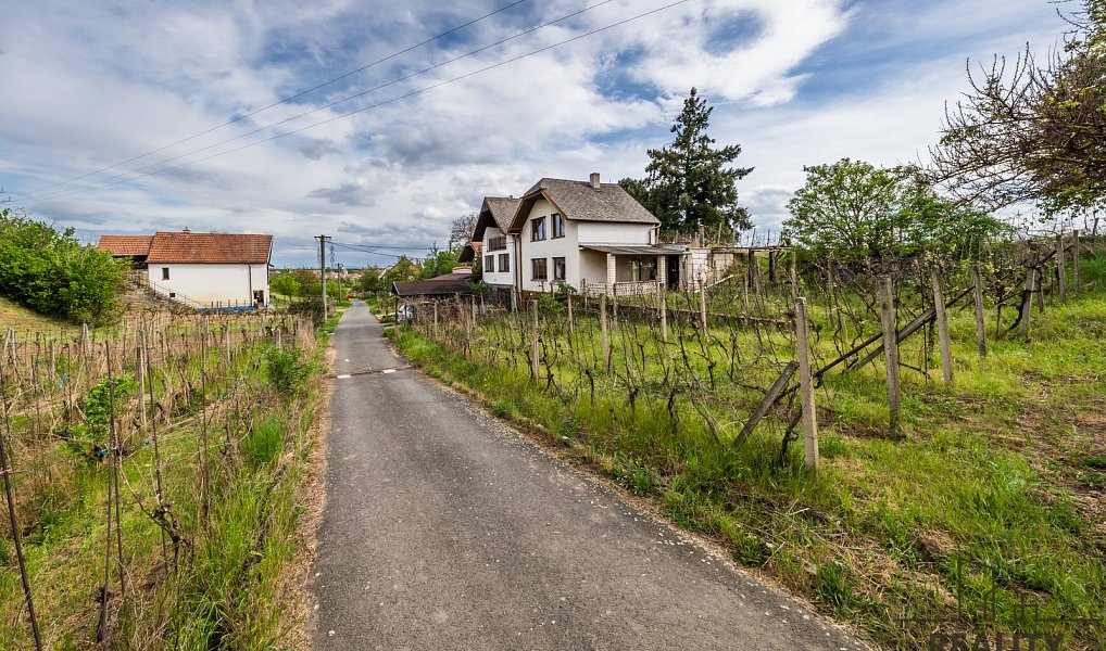 Prodej vinného sklepa s vinohradem ve Skoronicích, sklep + vinohrad Skoronice, Skoronice – náhled fotky 11