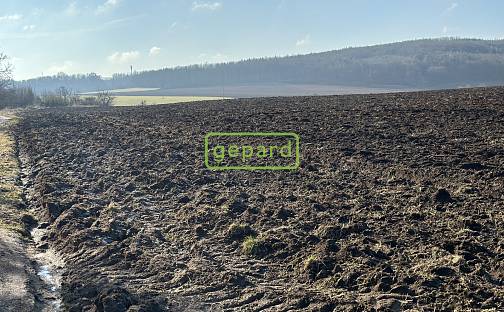 Prodej pole 8 333 m², Moravské Knínice, okres Brno-venkov