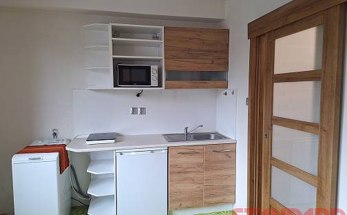 Pronájem bytu 1+1 35 m², Bohuslava Martinů, Plzeň - Bolevec