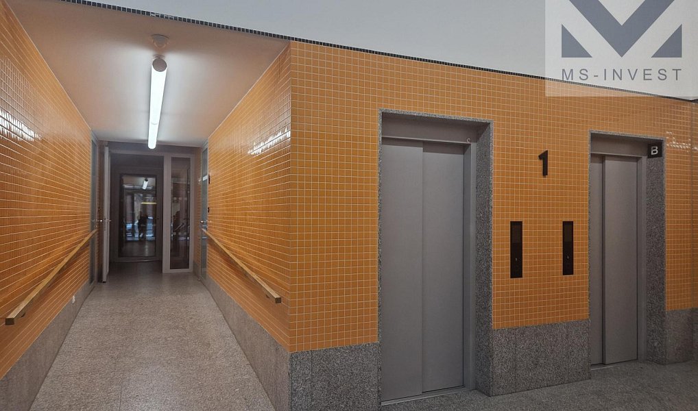 Prodej obchodních prostor 207 m², Brno – náhled fotky 6