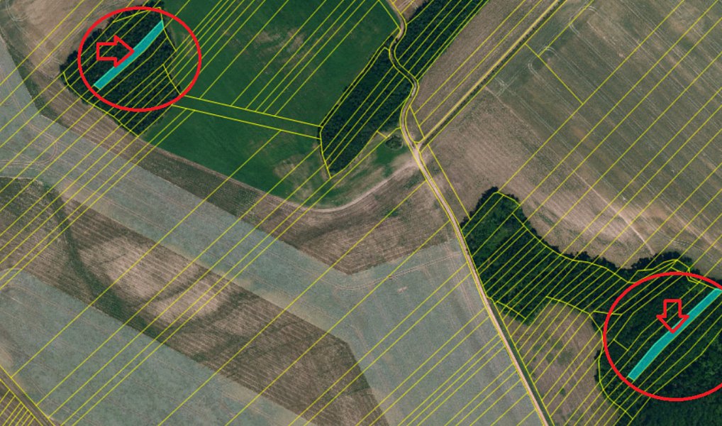 Prodej lesa 1 312 m², Skalice – náhled fotky 2