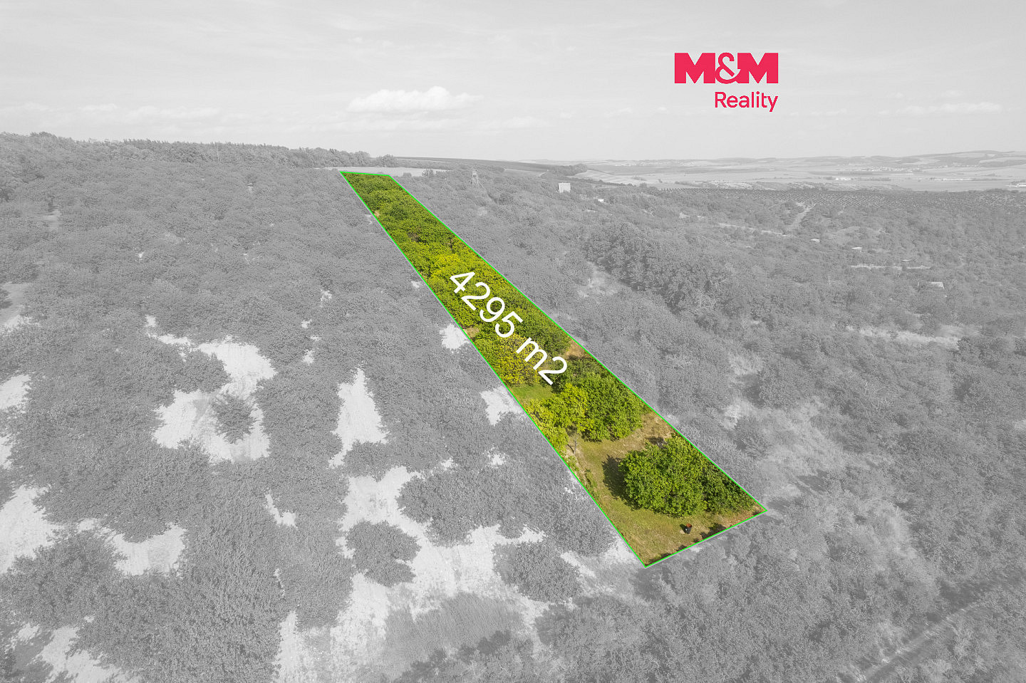 Prodej pole 4 295 m²