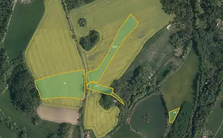 Prodej pole 46 128 m², Svídnice, okres Chrudim