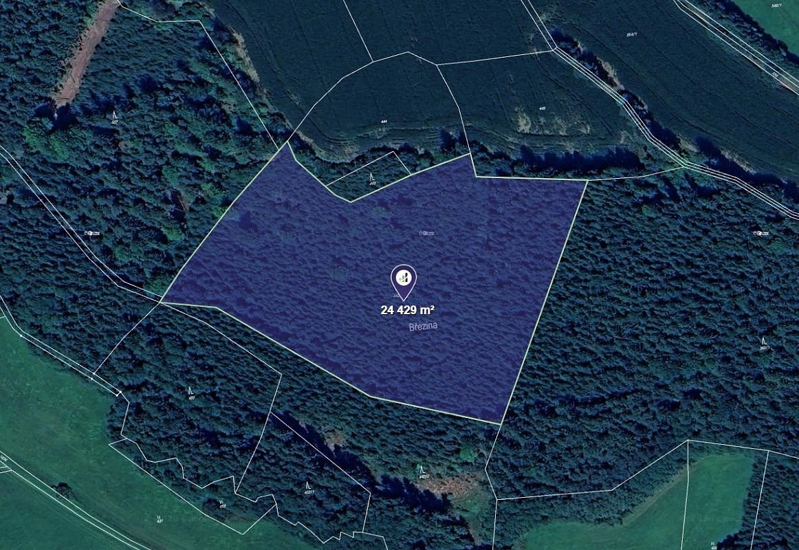 Prodej lesa 25 533 m²
