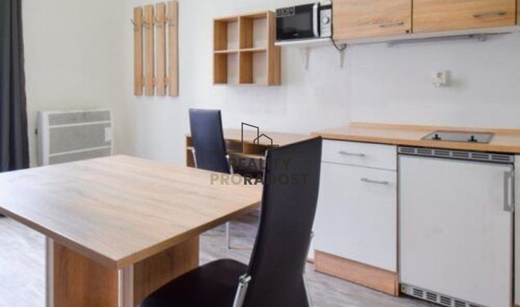 Pronájem bytu 1+kk 23 m², Brno – náhled fotky 5