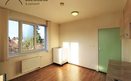 Pronájem bytu 1+kk 20 m², U Křížku, Průhonice, okres Praha-západ